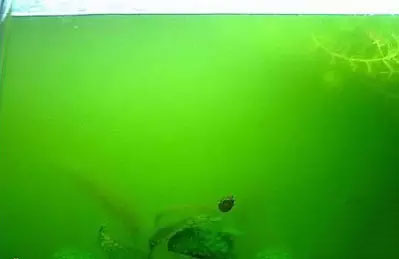 202509091757409458249955 2