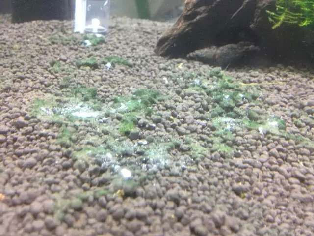 202509091757409479574681 4