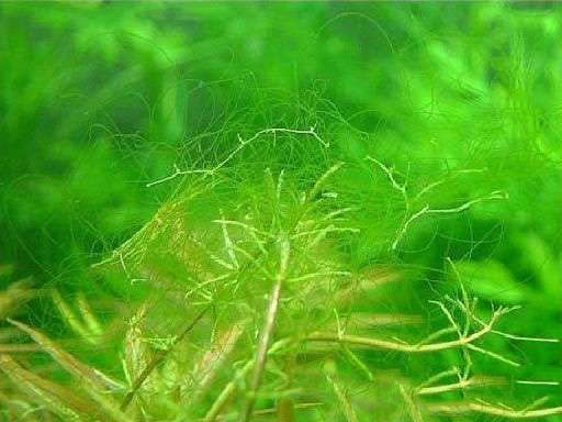 202509091757409500402356 6