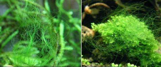 202509091757409509774137 7