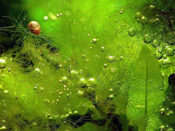 202509091757409519678233 8