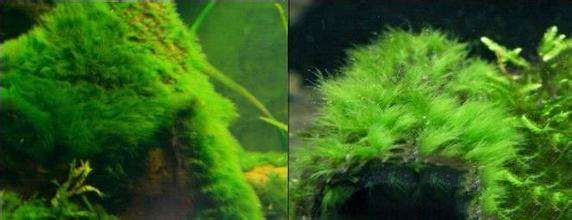 202509091757409554381065 10