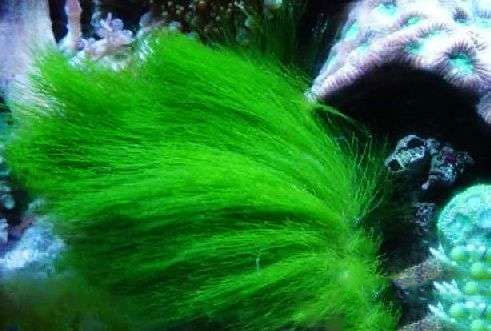 202509091757409563871592 11