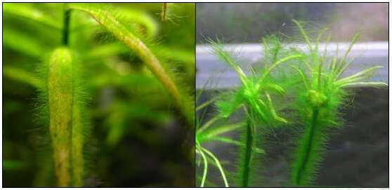 202509091757409572750798 12