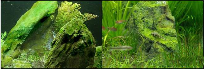 202509091757409587761970 13