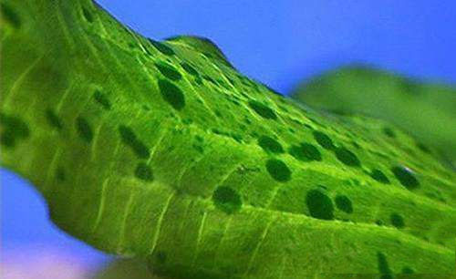 202509091757409601932957 14