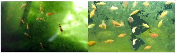 202509091757409610209649 15