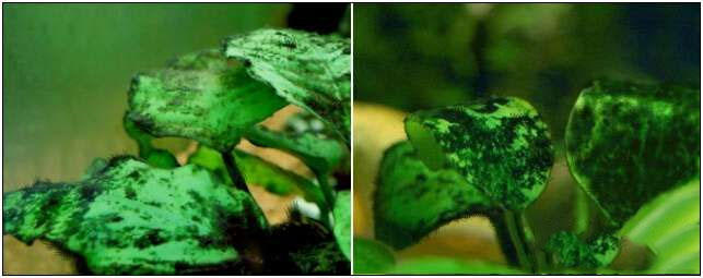 202509091757409618745905 16