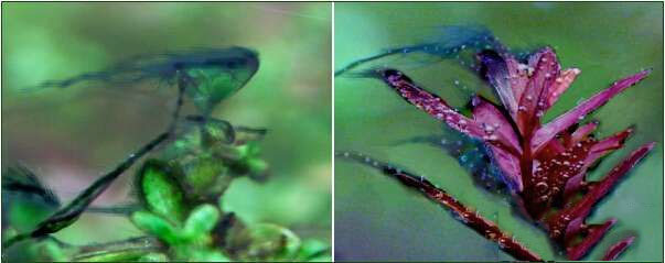 202509091757409627441642 17