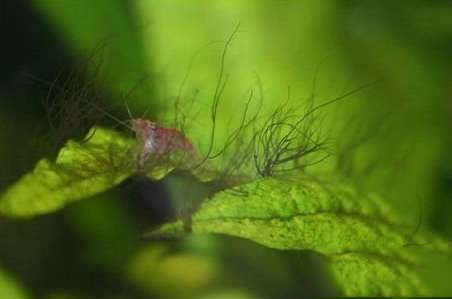 202509091757409636505409 18