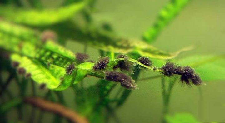 202509091757409667483744 19