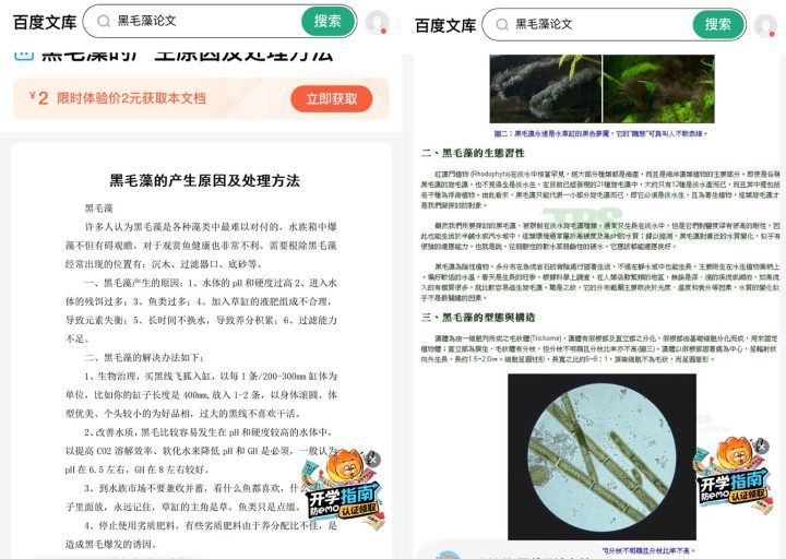 202509091757409681423155 20