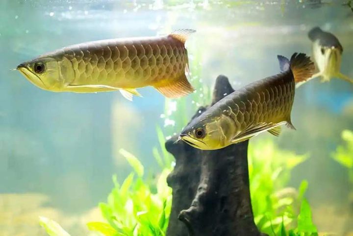 202509161758008691743048 2