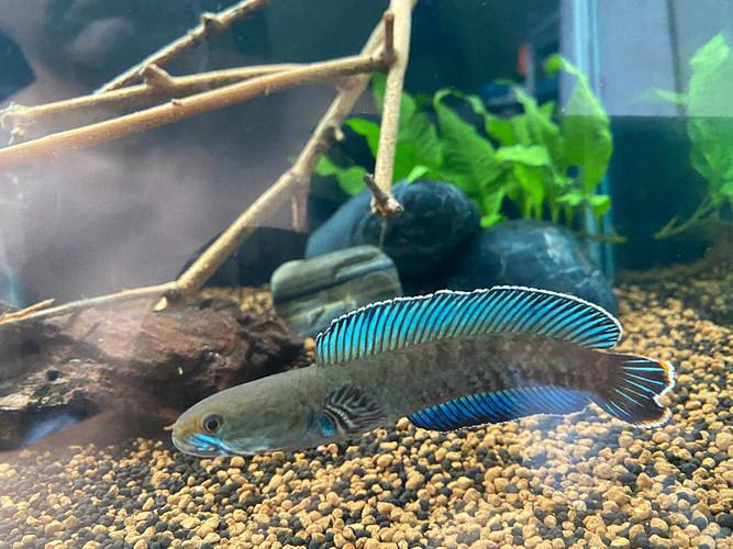 202509181758185549234795-1 2