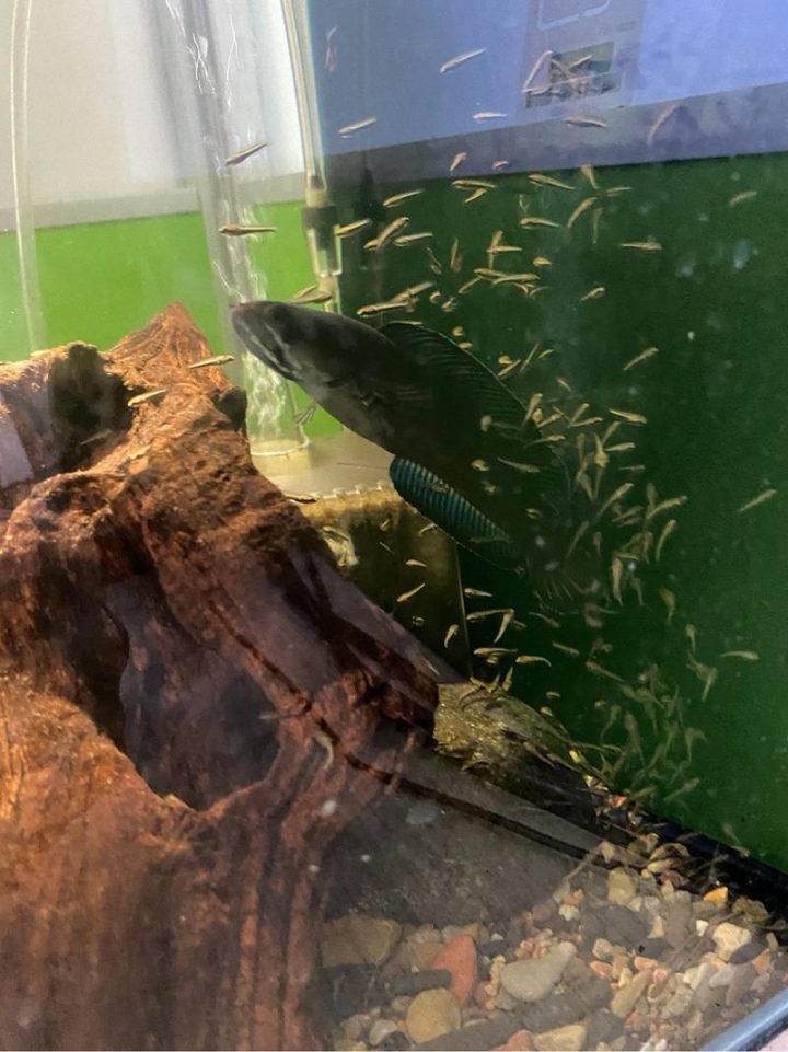 202509181758185564580333-1 3