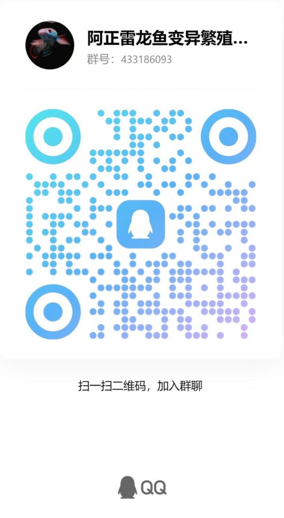 202509261758857615164440 2