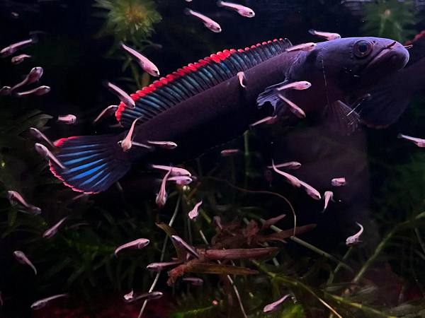 202510221761112437578931-1 3