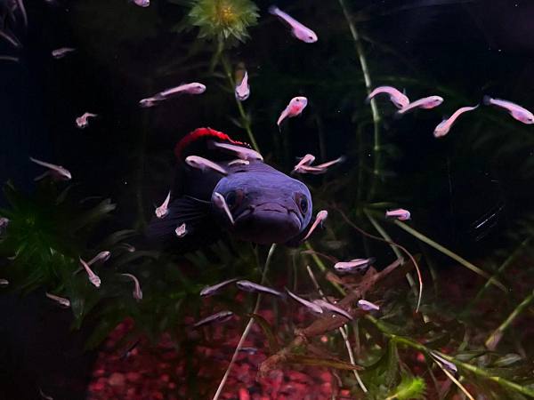 202510221761112453321280-1 4