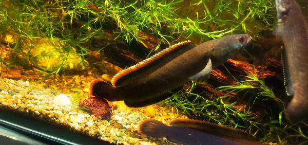 202510221761112469804254 5