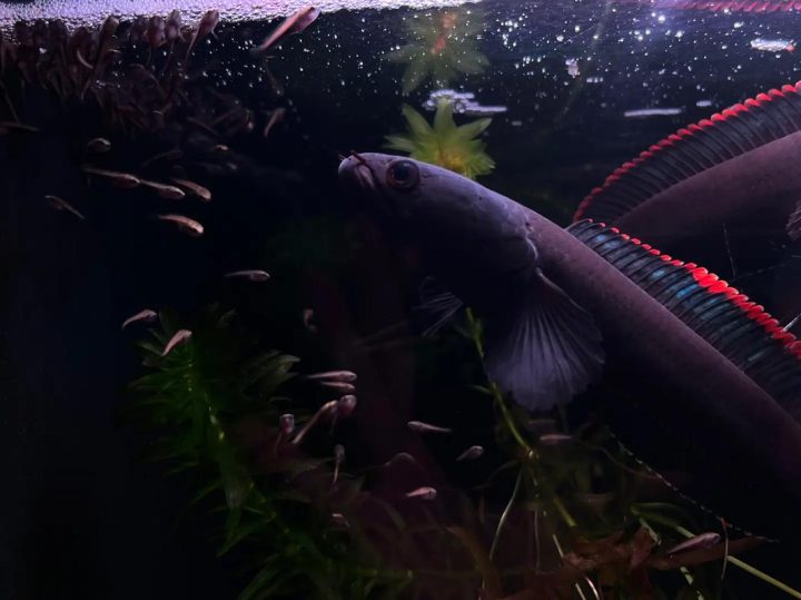 202510221761112791271254 1