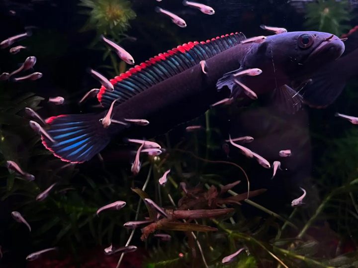 202510221761112791667540 2