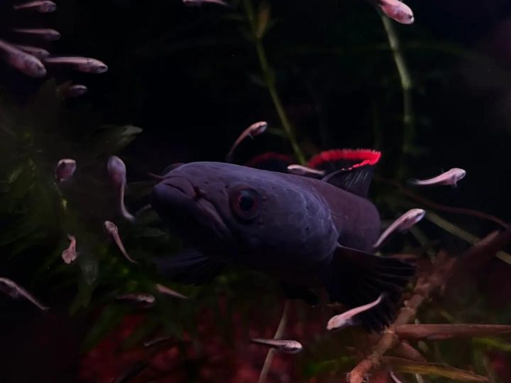 202510221761112791884969 4