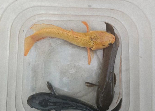 202511061762410796916226 1 202511061762410796916226 1