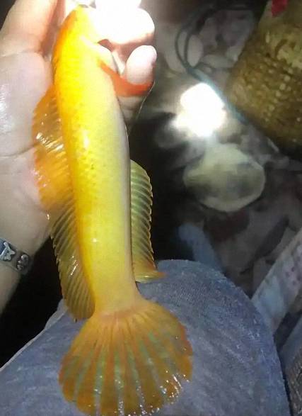 202511061762410837451878 2 202511061762410837451878 2