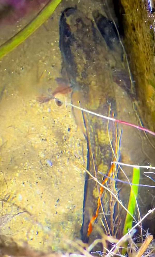 202511121762934844129119 3 202511121762934844129119 3