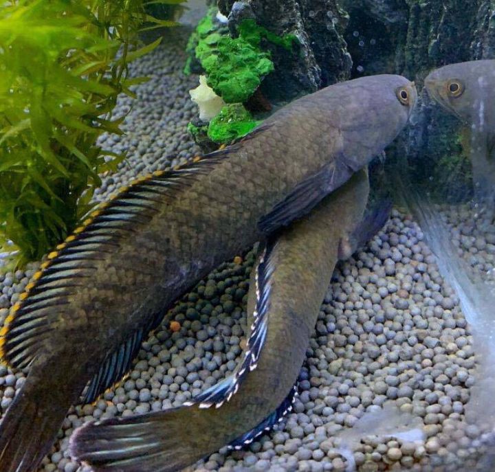 202511181763450753300359 202511181763450753300359