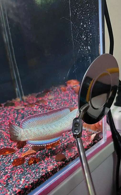 21094_8org_3789 3 21094_8org_3789 3