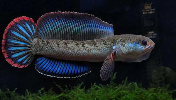 21095_lkft_5844 1 21095_lkft_5844 1