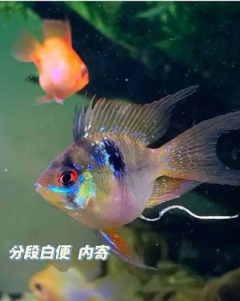 25479_z0mi_3372 3 25479_z0mi_3372 3