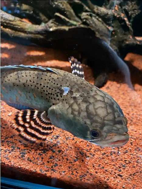 25480_fnlo_6959 1 25480_fnlo_6959 1