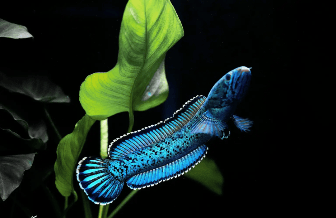 26893_xmhw_1405 26893_xmhw_1405