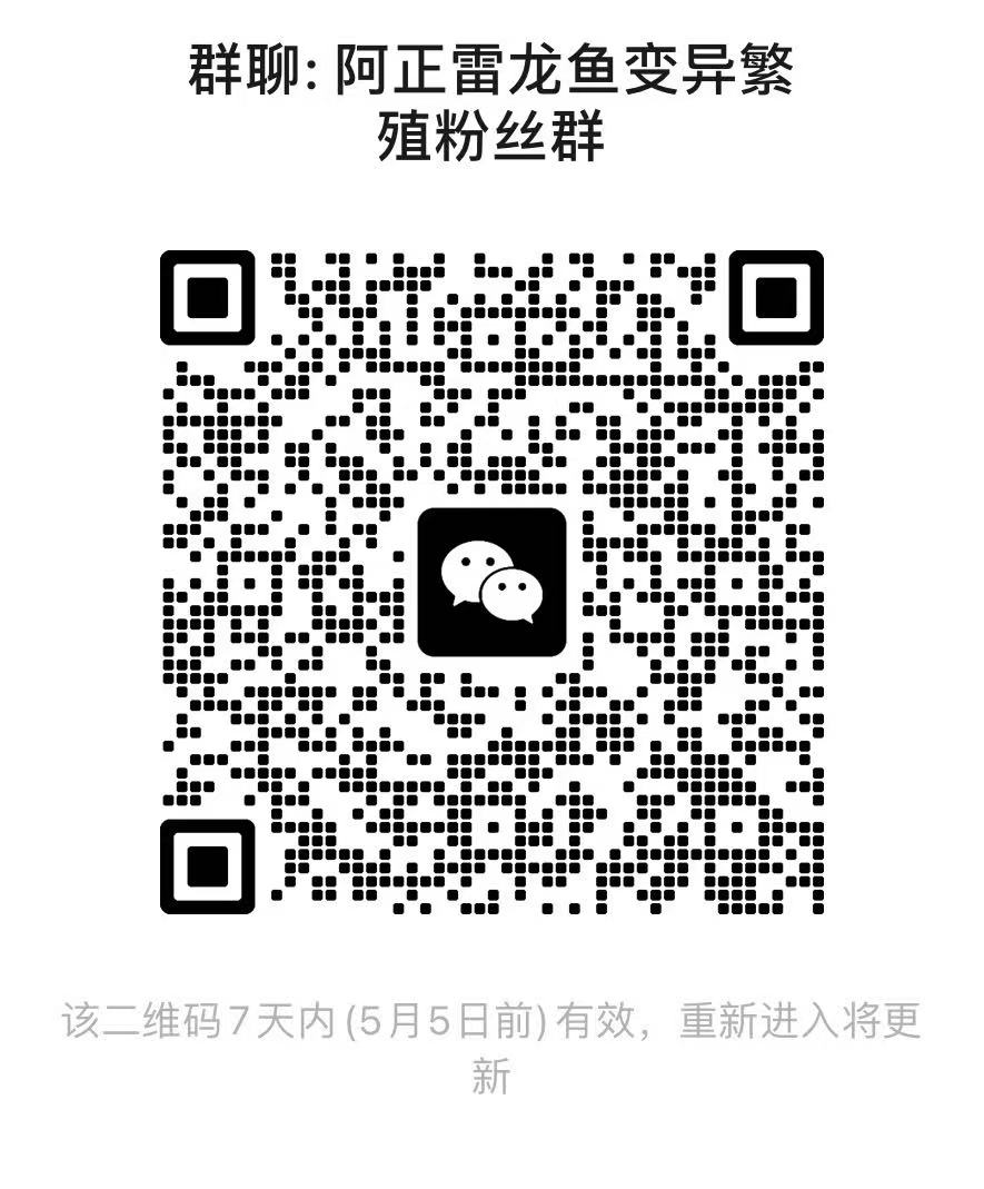 雷龙鱼友交流群-雷龙论坛-雷龙鱼交流微信群 1