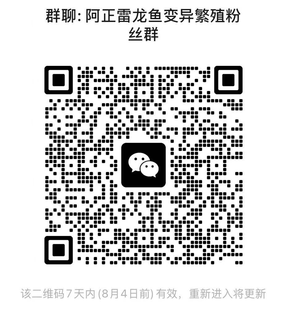 雷龙鱼友交流群-雷龙论坛-雷龙鱼交流微信群 1