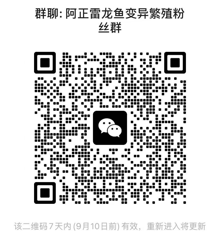 雷龙鱼友交流群-雷龙论坛-雷龙鱼交流微信群 1