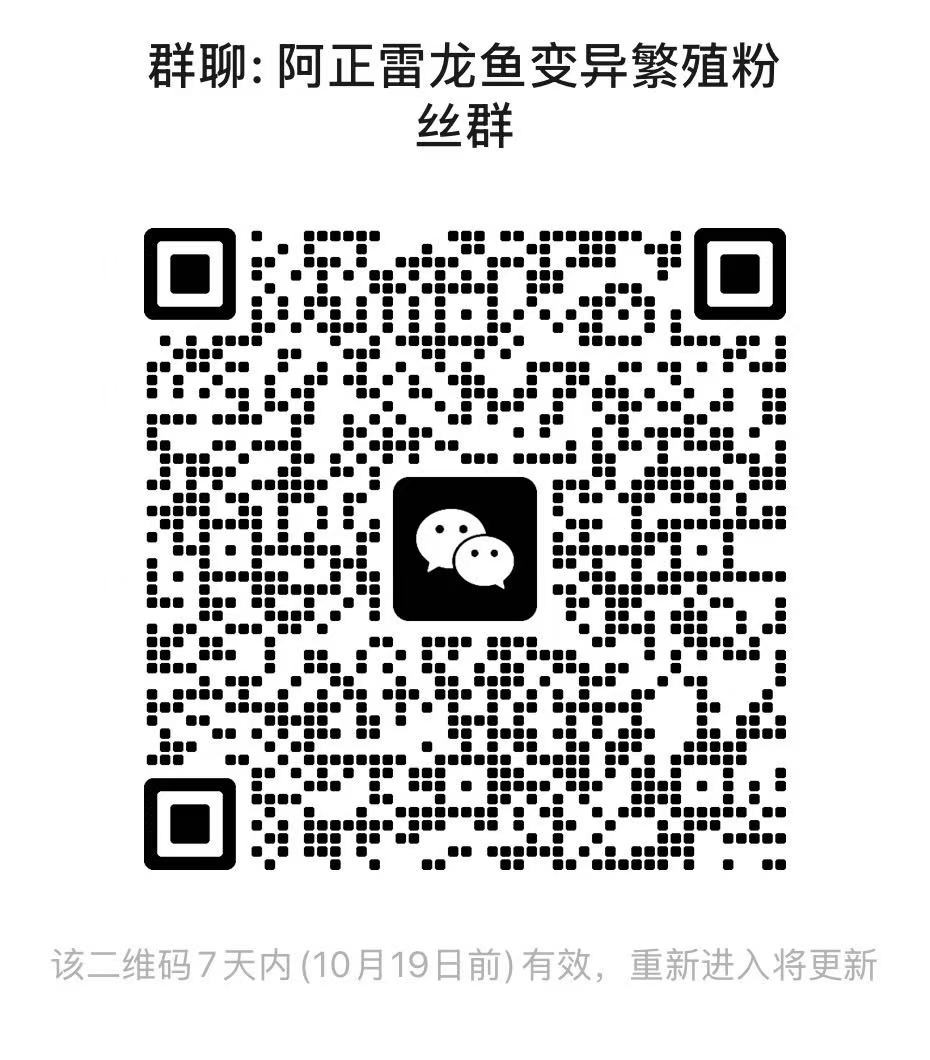 雷龙鱼友交流群-雷龙论坛-雷龙鱼交流微信群 1