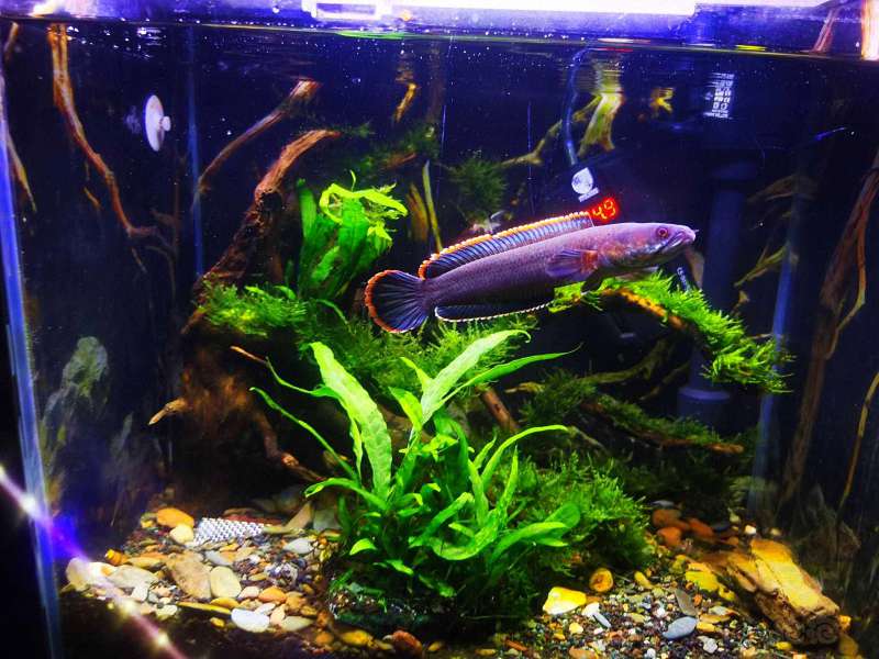 治疗缸需要哪些基本设备？