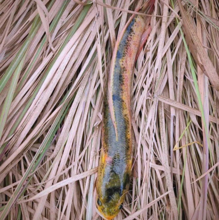 37d3d539b6003af36d649a00b8ecc34c1238b6ce.jpeg@f_auto 5 37d3d539b6003af36d649a00b8ecc34c1238b6ce.jpeg@f_auto 5