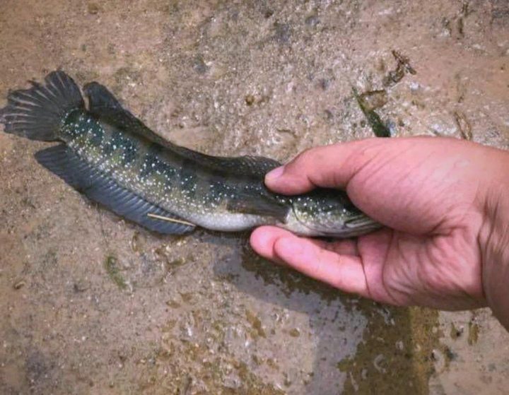 ac6eddc451da81cb4ca86212d9a0d5060b2431fd.jpeg@f_auto 4 ac6eddc451da81cb4ca86212d9a0d5060b2431fd.jpeg@f_auto 4