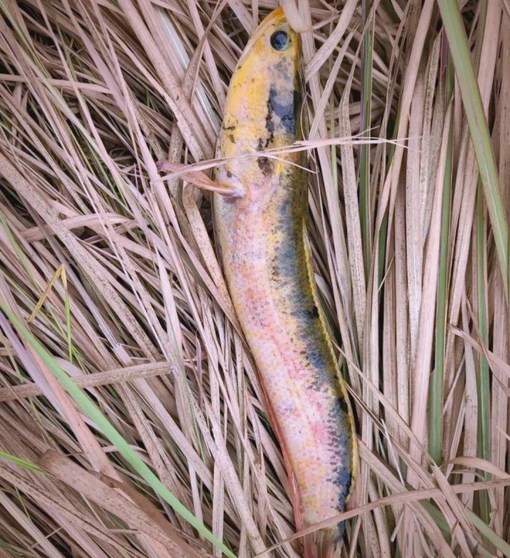 d52a2834349b033be887d84d990833c3d439bd74.jpeg@f_auto 2 d52a2834349b033be887d84d990833c3d439bd74.jpeg@f_auto 2