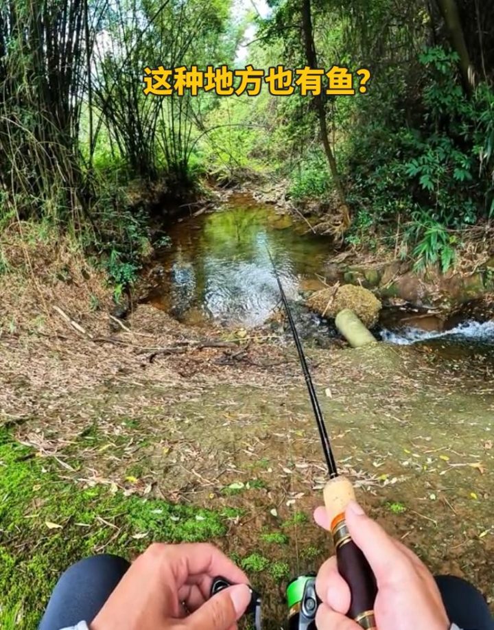 d53f8794a4c27d1ef2e01f3a8859a361dfc438a0.jpeg@f_auto 3 d53f8794a4c27d1ef2e01f3a8859a361dfc438a0.jpeg@f_auto 3