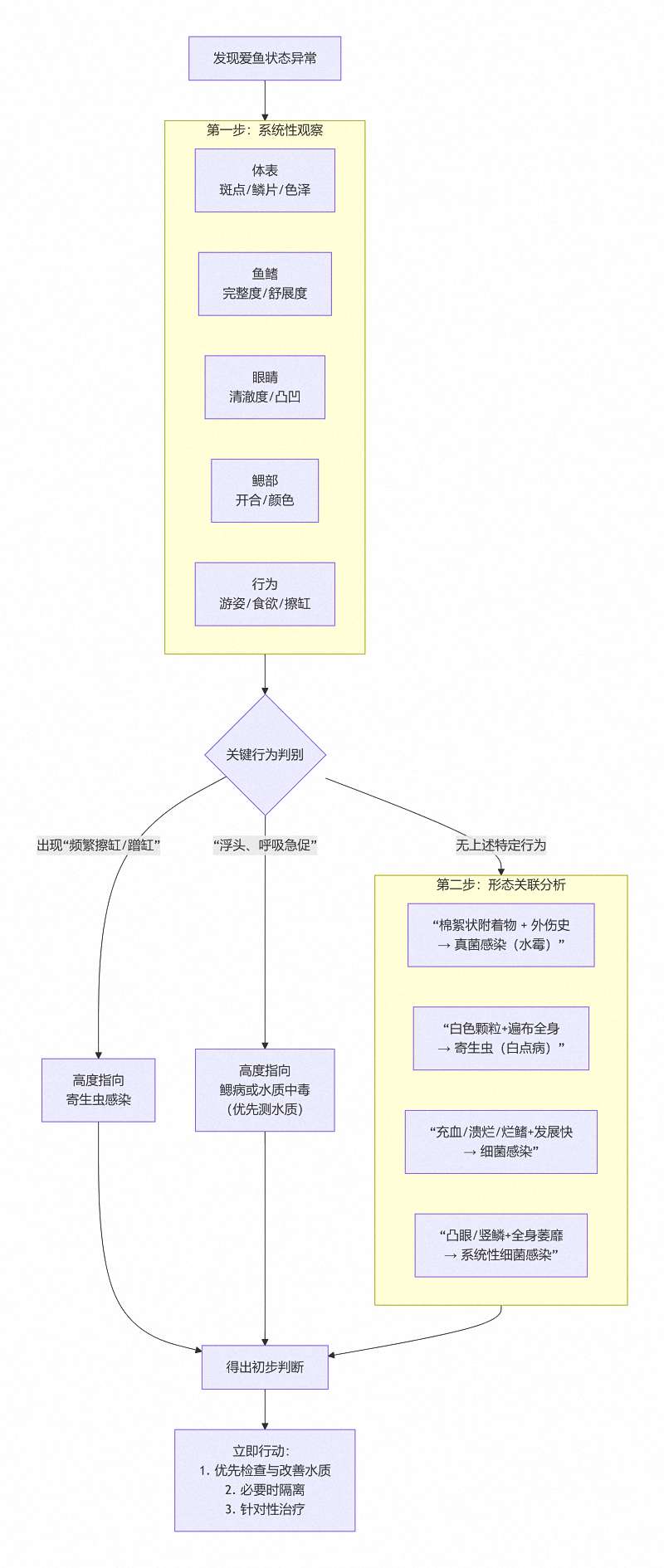 一鱼五看:从体表到行为,读懂爱鱼的“健康密码” 3 一鱼五看:从体表到行为,读懂爱鱼的“健康密码” 3
