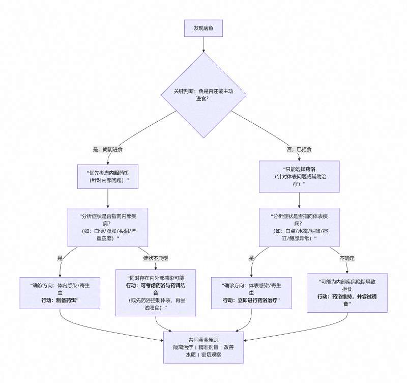 鱼病治疗两板斧：药浴与内服，你用对了吗？ 4
