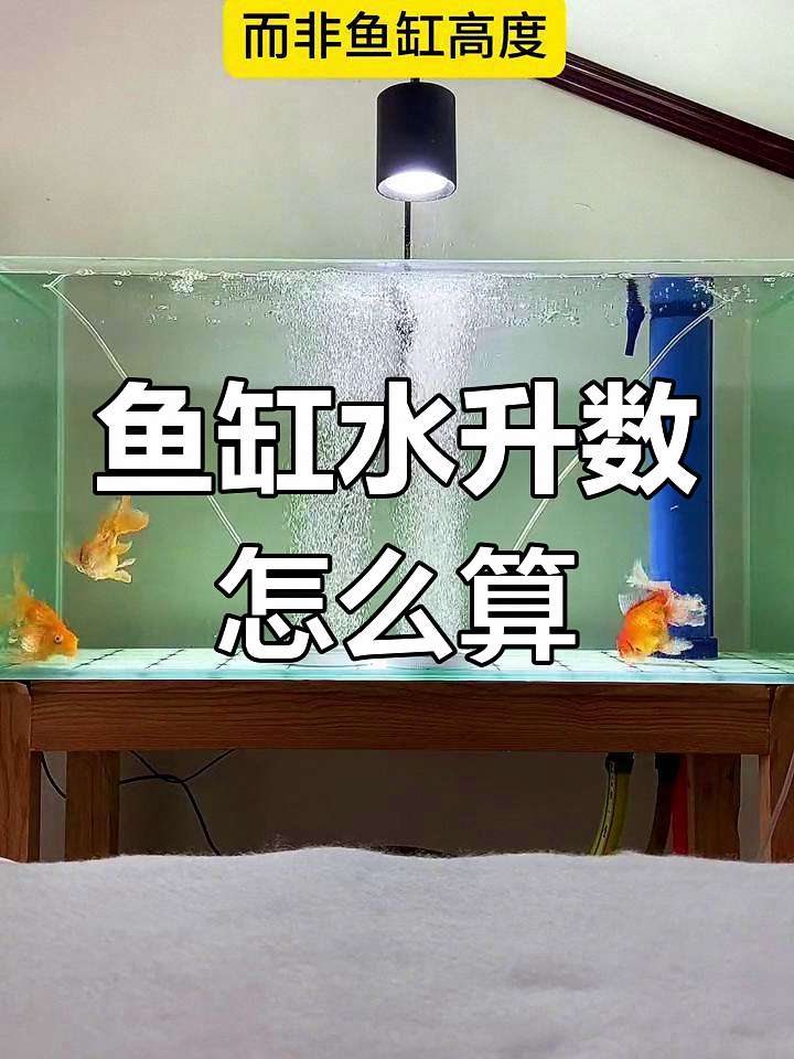 安全用药第一步：你的鱼缸水量，真的算对了吗？ 1