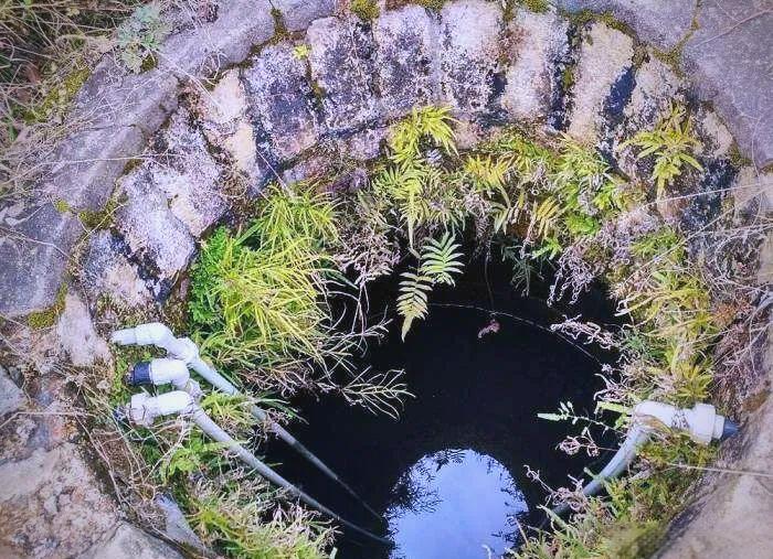 f31fbe096b63f6244df29d0c0c82eee81b4ca36c.jpeg@f_auto 1 f31fbe096b63f6244df29d0c0c82eee81b4ca36c.jpeg@f_auto 1