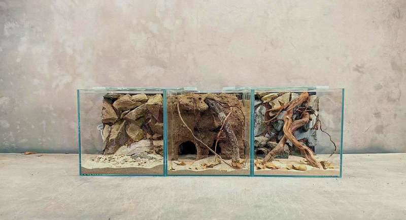 紧急出动！爱鱼生病了？这个“鱼用ICU”你必须准备好！ 1