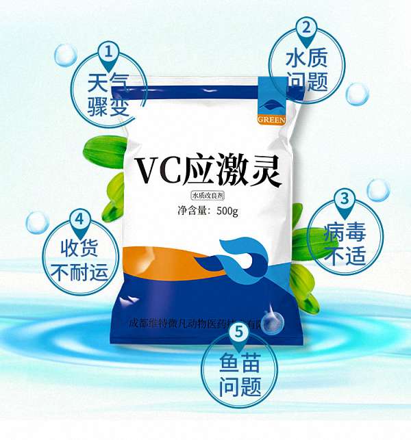 鱼药入门指南：抗生素、驱虫药…它们如何守护爱鱼健康？ 4